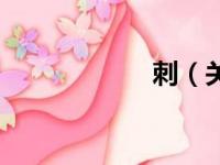 刺（关于刺的简介）
