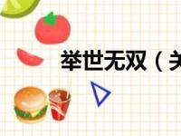举世无双（关于举世无双的简介）