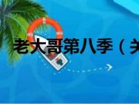 老大哥第八季（关于老大哥第八季的简介）
