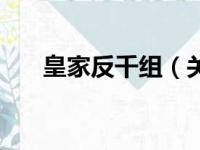 皇家反千组（关于皇家反千组的简介）