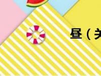 昼（关于昼的简介）