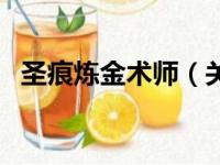 圣痕炼金术师（关于圣痕炼金术师的简介）