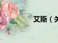 艾斯（关于艾斯的简介）