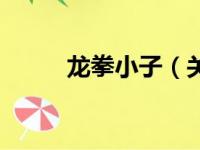龙拳小子（关于龙拳小子的简介）