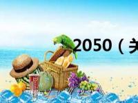 2050（关于2050的简介）