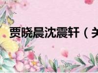 贾晓晨沈震轩（关于贾晓晨沈震轩的简介）