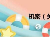机密（关于机密的简介）