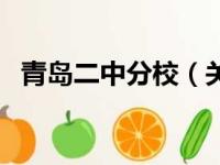 青岛二中分校（关于青岛二中分校的简介）