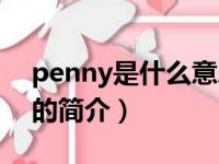 penny是什么意思（关于penny是什么意思的简介）