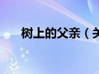 树上的父亲（关于树上的父亲的简介）