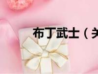布丁武士（关于布丁武士的简介）