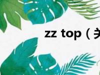zz top（关于zz top的简介）