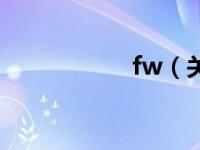 fw（关于fw的简介）