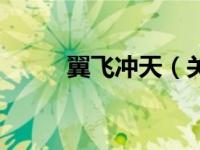 翼飞冲天（关于翼飞冲天的简介）