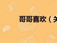 哥哥喜欢（关于哥哥喜欢的简介）
