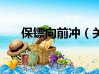 保镖向前冲（关于保镖向前冲的简介）