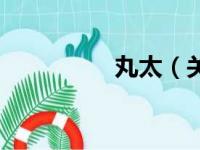 丸太（关于丸太的简介）