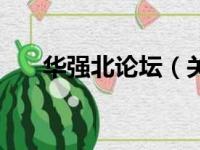 华强北论坛（关于华强北论坛的简介）