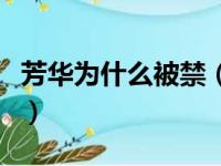 芳华为什么被禁（关于芳华为什么被禁的简介）