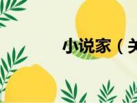 小说家（关于小说家的简介）