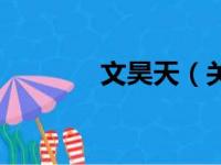 文昊天（关于文昊天的简介）
