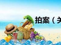 拍案（关于拍案的简介）