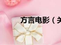 方言电影（关于方言电影的简介）