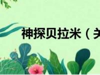 神探贝拉米（关于神探贝拉米的简介）