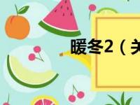 暖冬2（关于暖冬2的简介）