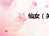 仙女（关于仙女的简介）