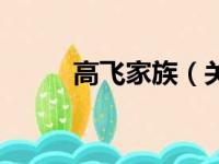 高飞家族（关于高飞家族的简介）