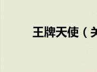 王牌天使（关于王牌天使的简介）