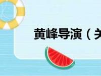 黄峰导演（关于黄峰导演的简介）