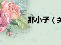 那小子（关于那小子的简介）