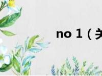 no 1（关于no 1的简介）