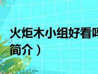 火炬木小组好看吗（关于火炬木小组好看吗的简介）