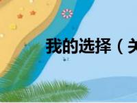 我的选择（关于我的选择的简介）