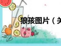 狼孩图片（关于狼孩图片的简介）