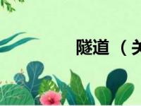 隧道 （关于隧道 的简介）