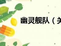 幽灵舰队（关于幽灵舰队的简介）
