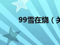 99雪在烧（关于99雪在烧的简介）