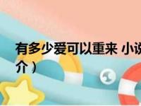 有多少爱可以重来 小说（关于有多少爱可以重来 小说的简介）