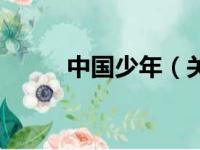 中国少年（关于中国少年的简介）