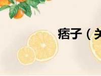 痞子（关于痞子的简介）