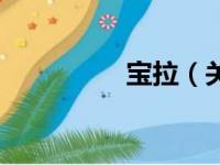 宝拉（关于宝拉的简介）