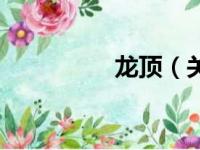龙顶（关于龙顶的简介）