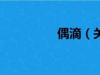 偶滴（关于偶滴的简介）
