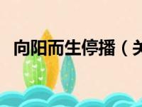 向阳而生停播（关于向阳而生停播的简介）