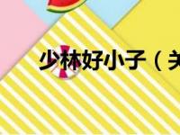 少林好小子（关于少林好小子的简介）