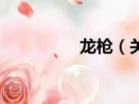 龙枪（关于龙枪的简介）